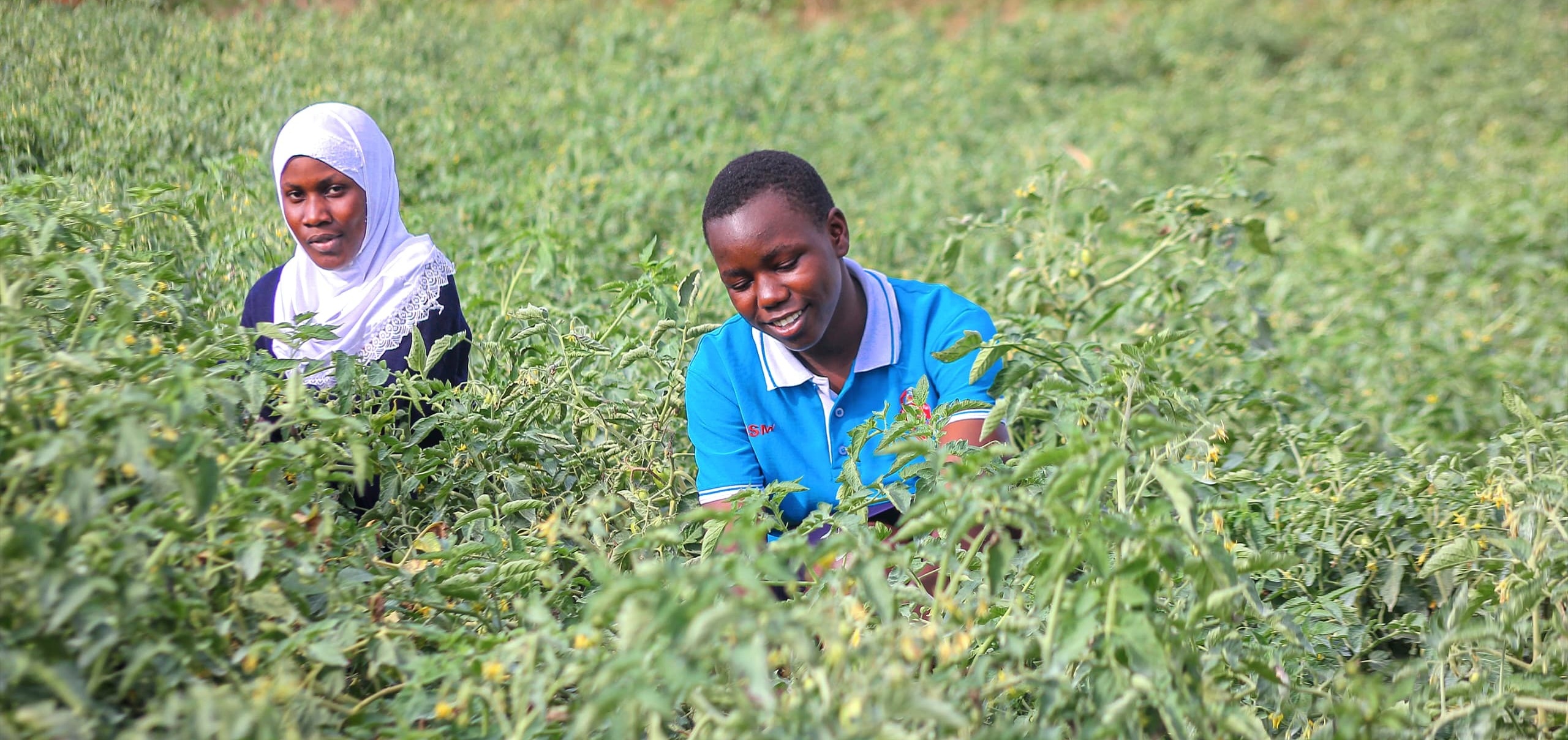 Research & Innovation Room